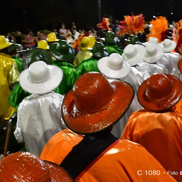 desfile 220